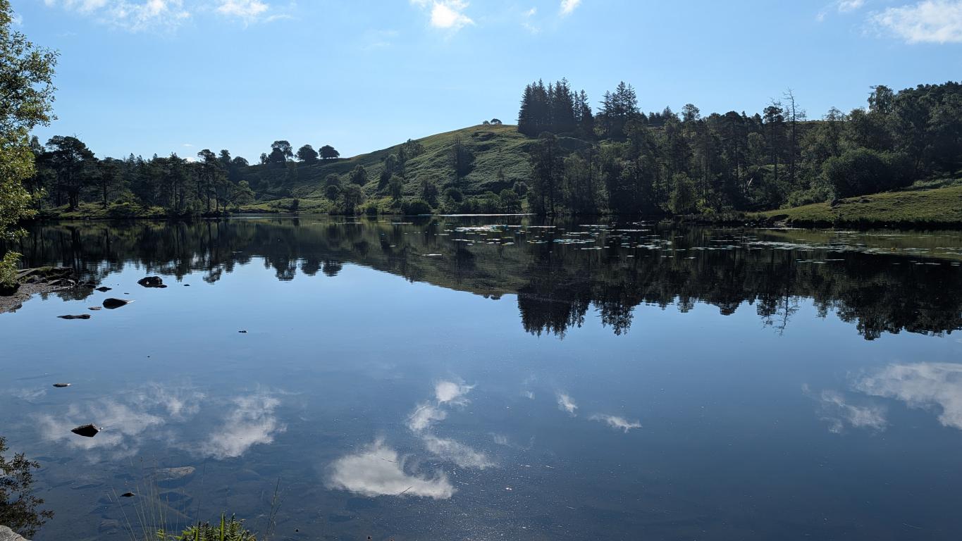 Tarn Hows: The Lake District's Most Photogenic Lie